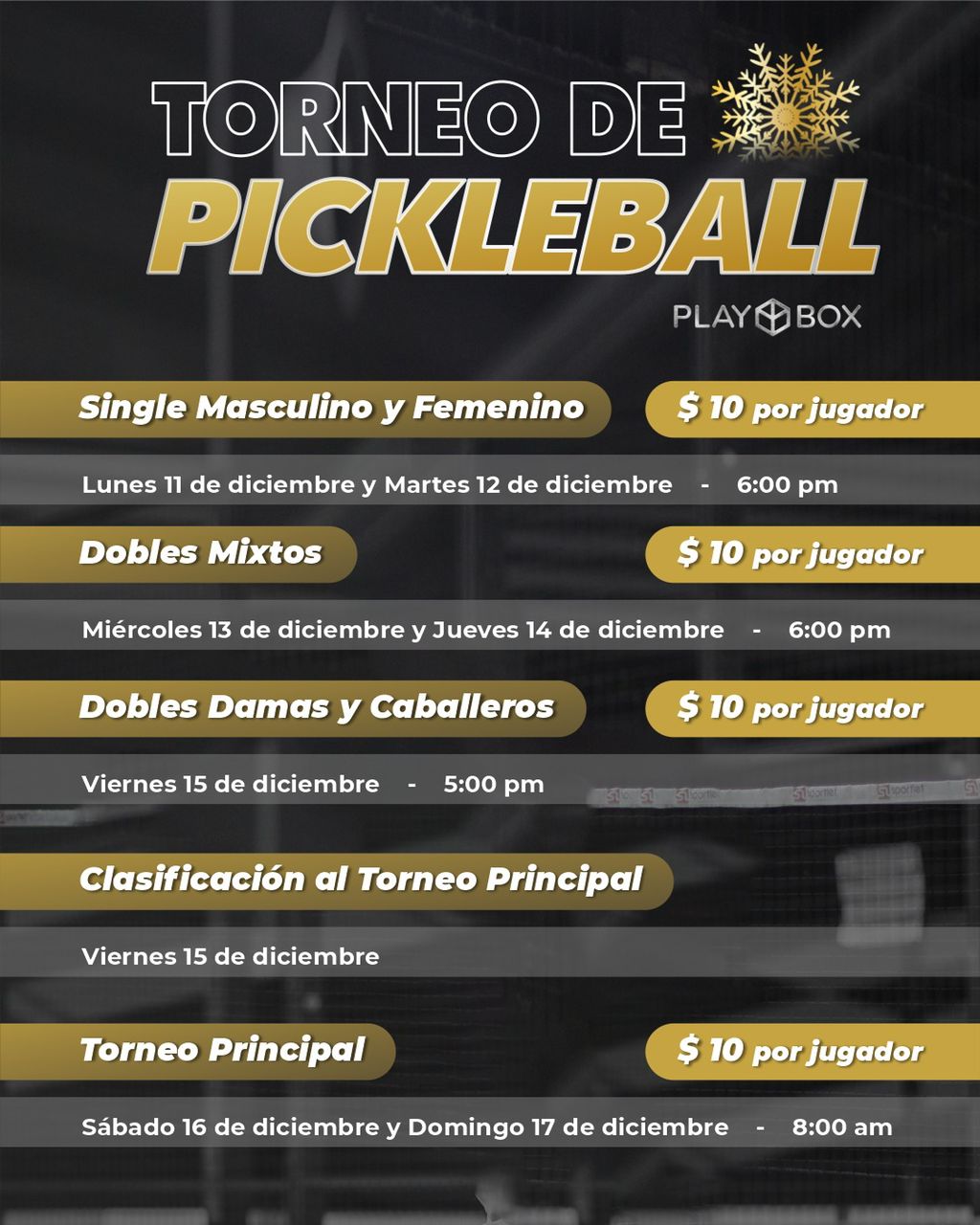 Torneo de Pickleball Playbox. - Hablemos de Pickleball - La Guía Definitiva del Pickleball en América Latina y el mundo de habla hispana.