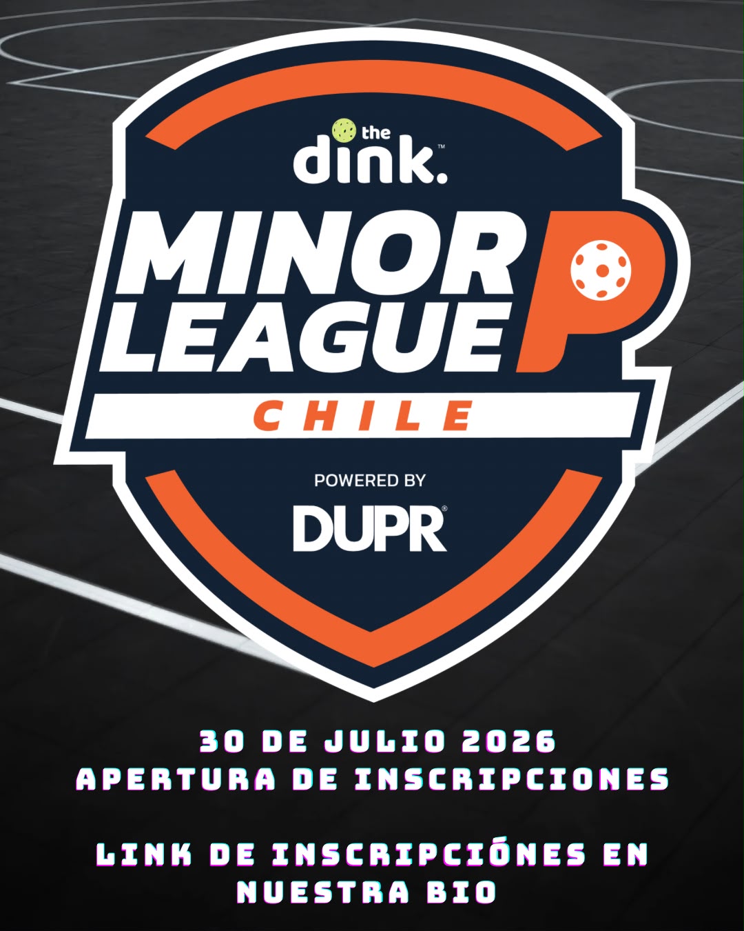 Chile The Dink Minor League Pickleball