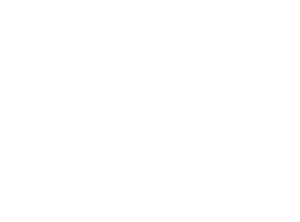 DUPR